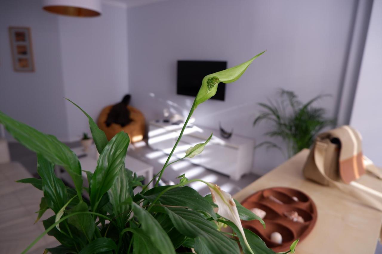 Apartamento Baleia Leilighet Costa de Caparica Eksteriør bilde